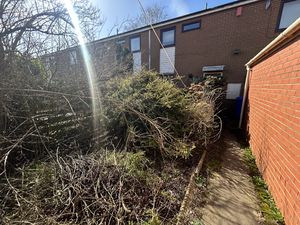 Photo 2- click for photo gallery